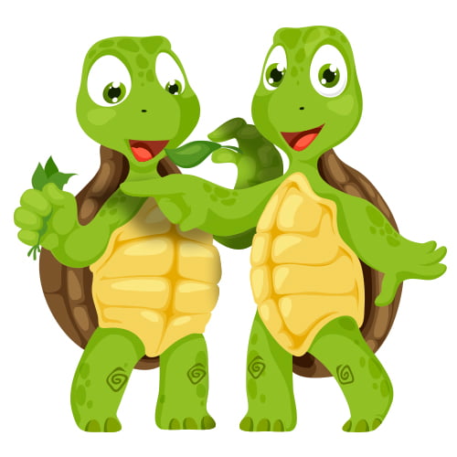 Schildkröten-Klasse F4